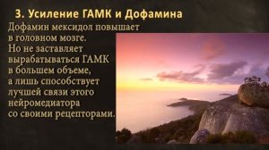 Мексидол  Обновление Мозга TopMusic