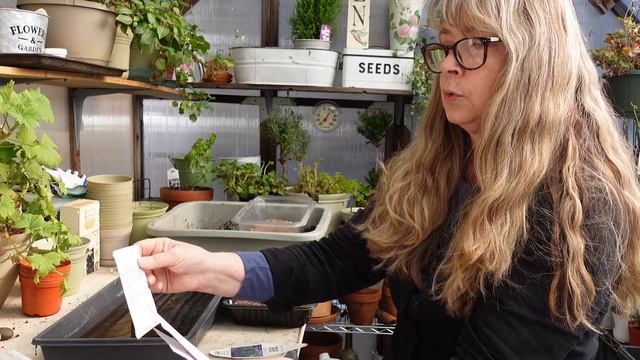 Seed Starting Petunia Flowers смотреть онлайн