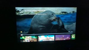 НЕ ПРОПУСТИ TouYinger T10W проектор из Китая Самый полный обзор ЭКРАН В ПОДАРОК при заказе по ссылк