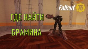 Fallout 76 Где найти брамина