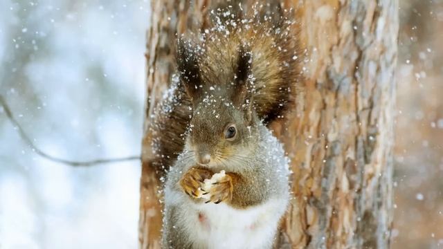 Истории из жизни. Сюрприз от любовницы. Жизненные истории. Интересные истории. Душевные истории. смотреть онлайн