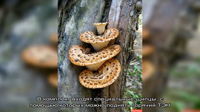 Техника для кухни — мультиварка REDMOND из Китая смотреть онлайн