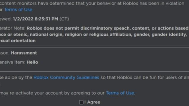 Stupid roblox warning/ban смотреть онлайн