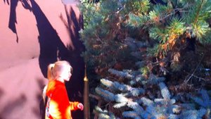 Эльвира и Райан на площадки Хэллоуин