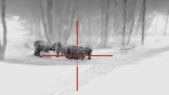 Охота на кабана с тепловизором guide tu650 февраль 2024 г. смотреть онлайн