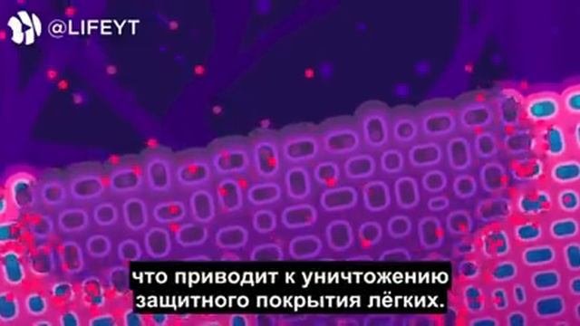 Что такое коронавирус, и как с ним бороться