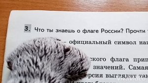Как Басик делает домашнее задание?