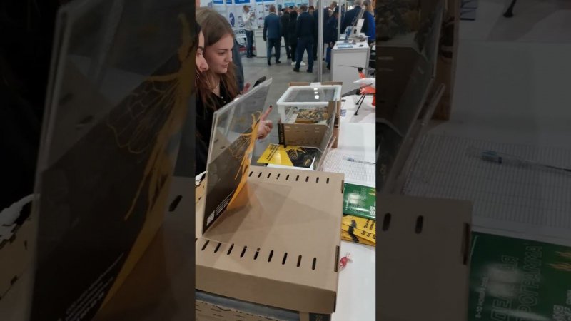 Шмели в коробках магнитят как крупных аграриев так и простых зевак)