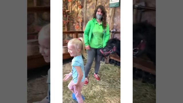 Парк Сказка в Москве 2021 смотреть онлайн