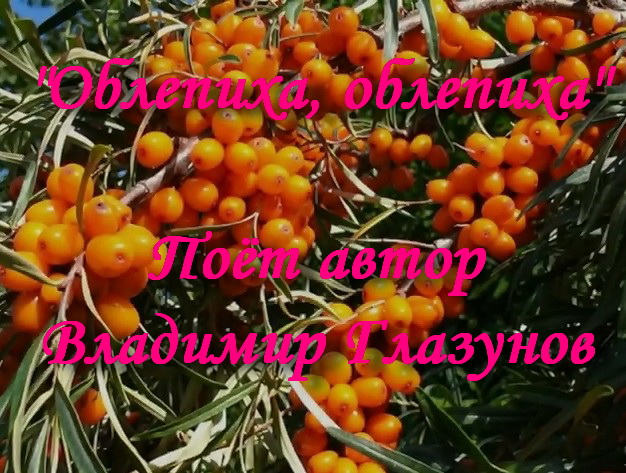 Облепиха, облепиха