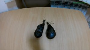 Бобровая струя-польза и личный результат (Будни охотника и рыбака)