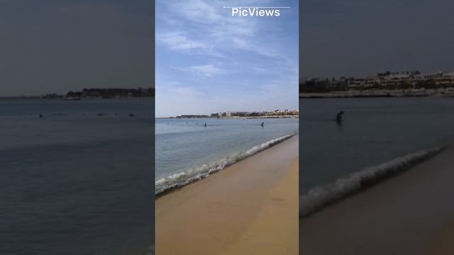 Как выглядит курорт Хургада. Египет сегодня 7 декабря 2023. Отель Old Palace resort Погода и море