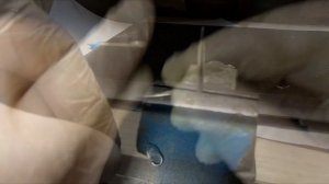 Замена пружинки в ювелирном замке Карабин. Сделай сам. #ювелир  #сделайсам #ювелирныйремонт