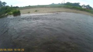 Рыбалка в Приморье.Сучан 20.06.20г.