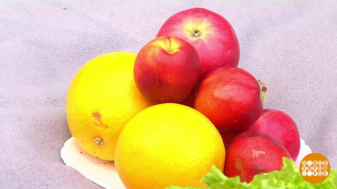 Запастись витаминами впрок: а что, так можно? Доброе утро. Фрагмент выпуска от 18.08.2023