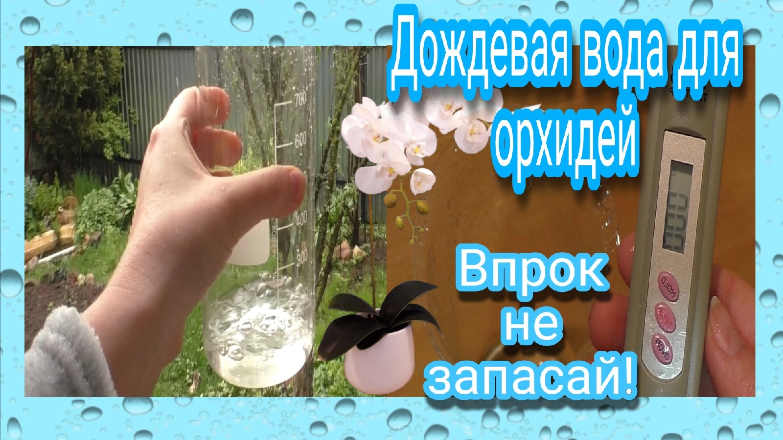 Дождь. Собирай и орхидеи пои, но долго не храни! Самое время измерить жесткость дождевой воды.