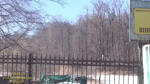 От улыбки станет всем светлей. Солнечная прогулка смотреть онлайн