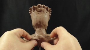 Хищник Скульптура из пластилина/Predator sculpture of plasticine