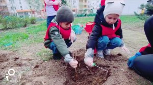 Весенняя посадка цветов и деревьев в iQ-Сад