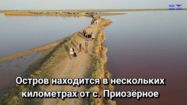 Такого на Арабатской стрелке ещё не было!