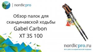 Gabel Carbon XT 3S 100 трехсекционные карбоновые палки из Италии