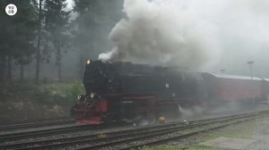 🚂🇩🇪 Паровоз в горах Гарц