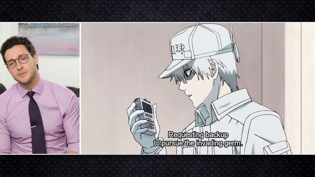 Real Doctor Reacts to CELLS AT WORK (Hataraku Saibō)