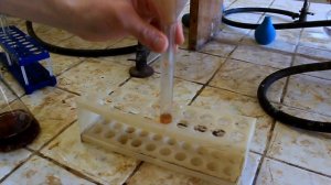 Экстракция (выделение) веществ из растений