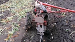 25 соток земли вспахал с мотоблоком Агро.