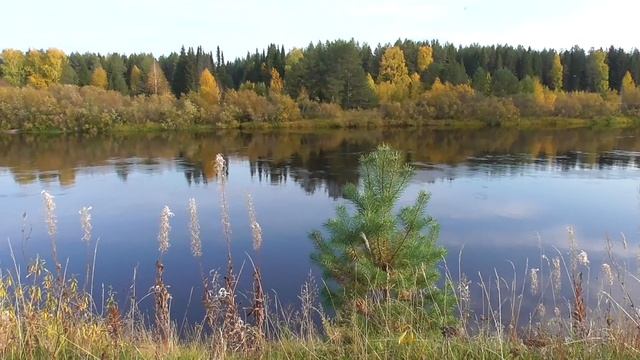 Покров! Что нельзя и что можно в этот день. Народные приметы! смотреть онлайн