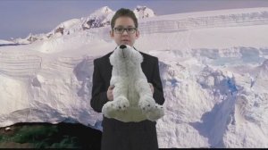 "I am a polar bear'' project, by Maksim Bocharnikov, 5th grade, Nadym Gymnasium