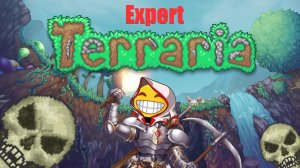 Террария КАК УБИТЬ СКЕЛЕТРОНА в эксперте (версия 1.3.5.3) | Terraria