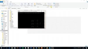 How to install wheel (.whl) packages for Python