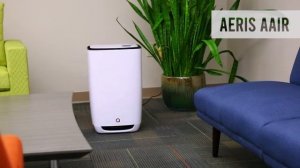 How to Choose an Air Purifier | Sylvane