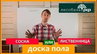 Доска пола Сосна или Лиственница