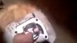 Лепесток на чезет 250