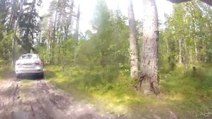 Рено Флюенс говномес)