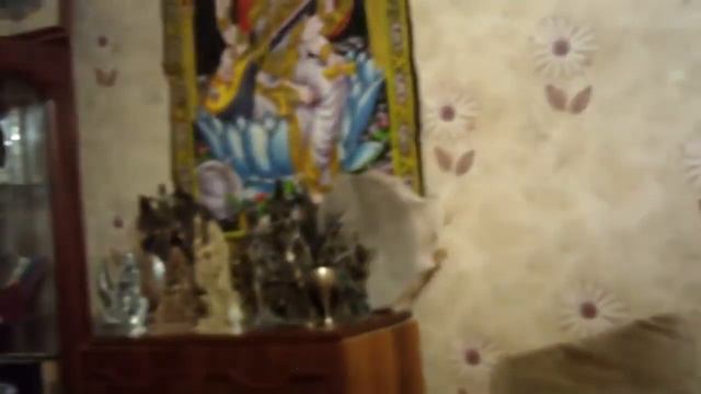 ЧИСТКА ДОМА  ДЛЯ ВСЕХ  ВЕДЬМИНА ИЗБА  ИНГА ХОСРОЕВА
