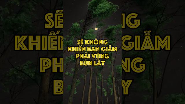 Chúng Ta Không Thể Thay Đổi Thời Tiết: Học Cách Đối Mặt và Thích Nghi | Tâm sự cuộc sống