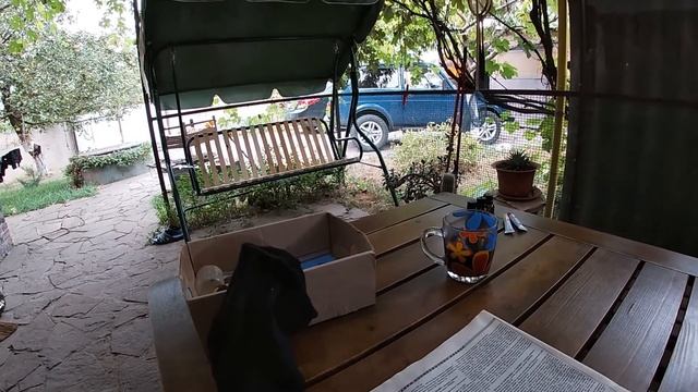 Сколько заработал с аськой 250 за пол года, что нашёл? смотреть онлайн