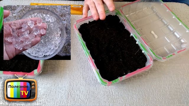 КАК ПРИГОТОВИТЬ ЛУЧШИЙ ГРУНТ ДЛЯ РАССАДЫ СЕКРЕТЫ САДОВОДОВ И ОГОРОДНИКОВ смотреть онлайн