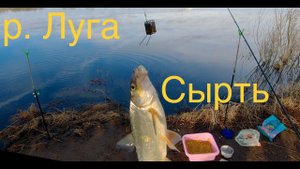 Сырть весенняя рыбалка.