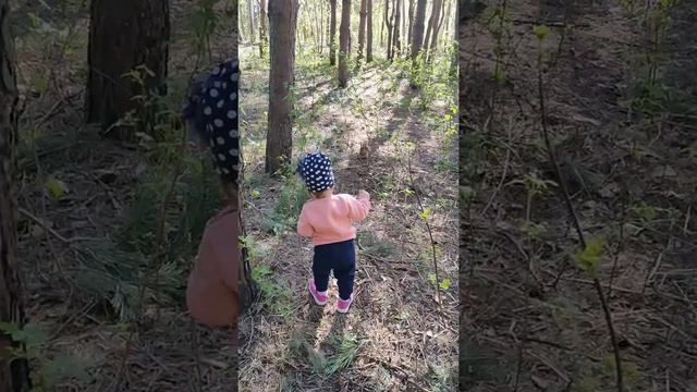 Нижнекамск.Городской парк "СемьЯ"Белочки... смотреть онлайн