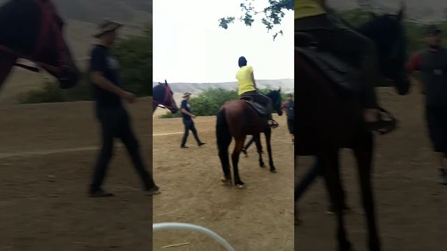 Перед тем как покататься верхом на лошадке, инструктор разъясняет правила безопасности. ???