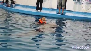 поездка в океанариум