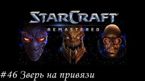 Starcraft: Remastered Прохождение #46 Зверь на привязи