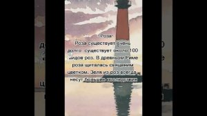?Что можно записать в гримуар или травник?