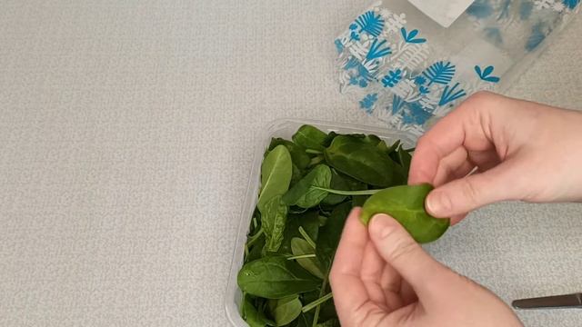 Чем отличается шпинат МИНИ от обычного (свежий зелёный), как хранить шпинат в холодильнике