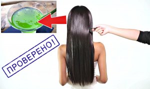 От жирных корней, перхоти для красивых волос втирайте это! Какая польза алоэ для волос?