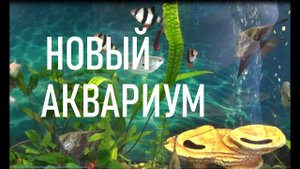 НОВЫЙ АКВАРИУМ | УНИВЕРСАЛЬНЫЙ АКВАРИУМ С ПЕРЕГОРОДКОЙ | NEW AQUARIUM